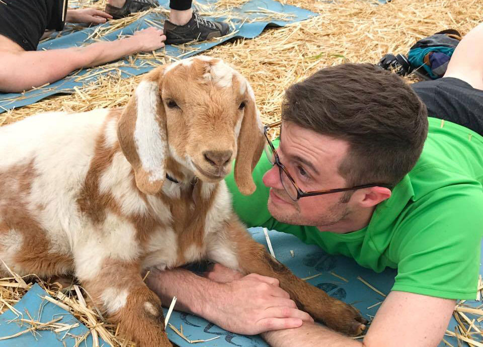 Goat Yoga