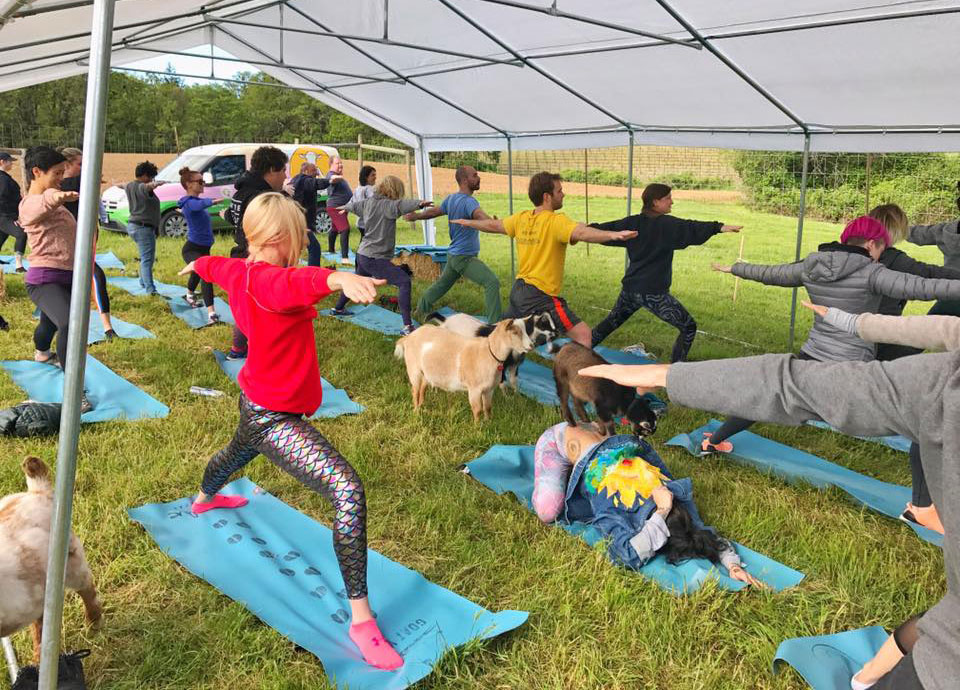 Goat Yoga