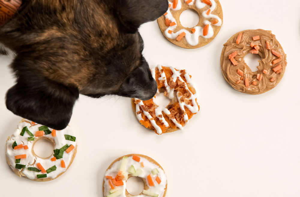 Delectable Pup Doughnuts