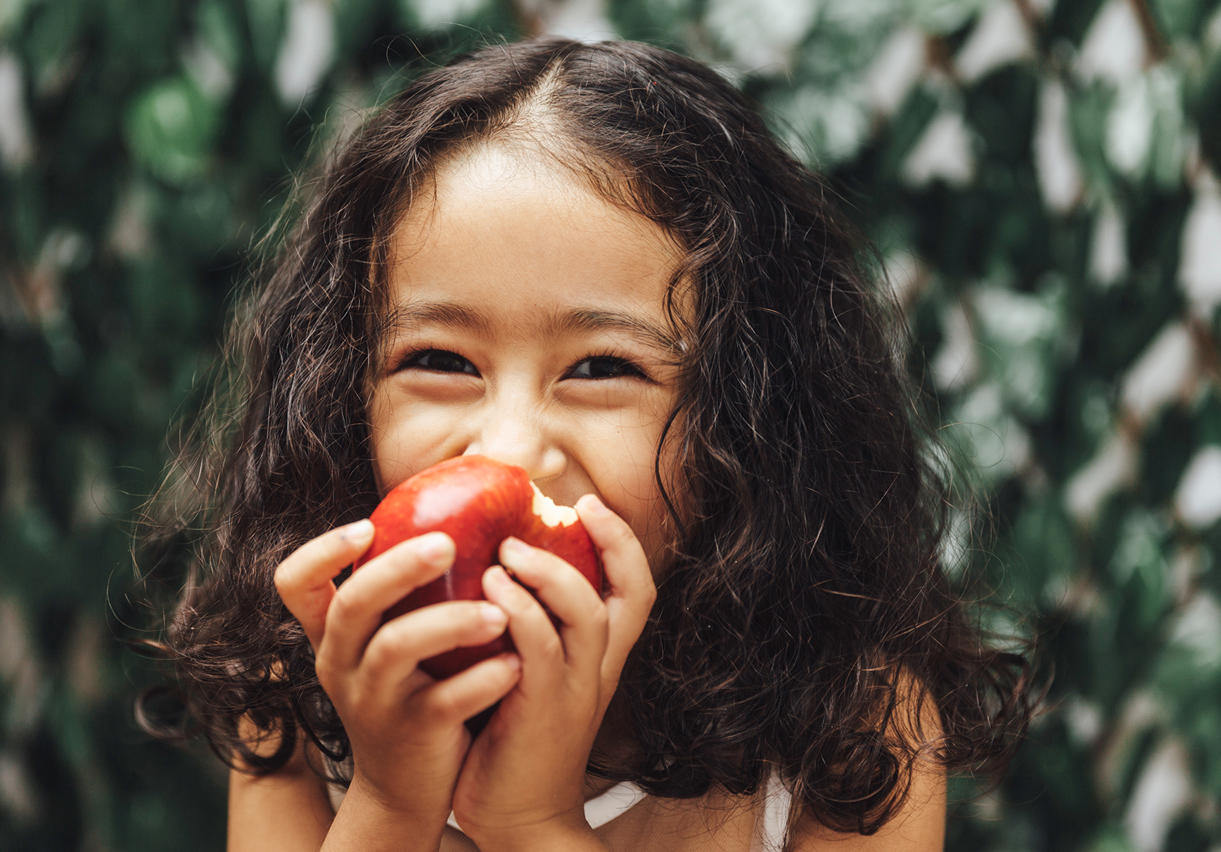 An Autumn Apple Experience