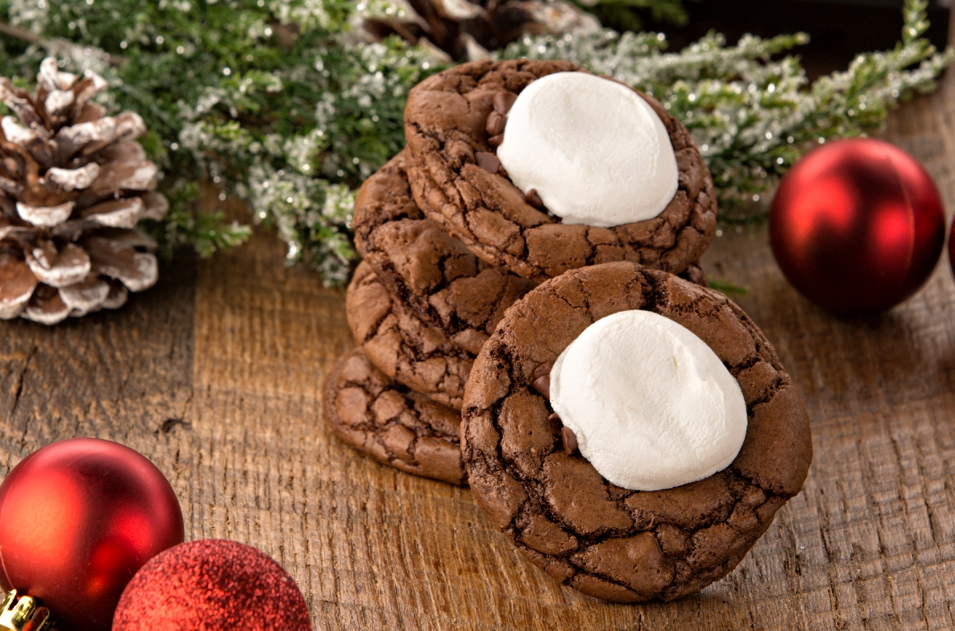 Hot Chocolate Cookies