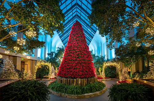 Horticulture and Holidays in the Heartland